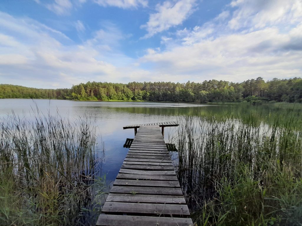 Jezioro-Piaseczno_Ocypel_Stowarzyszenie-Przyjaciol-Ocypla_6